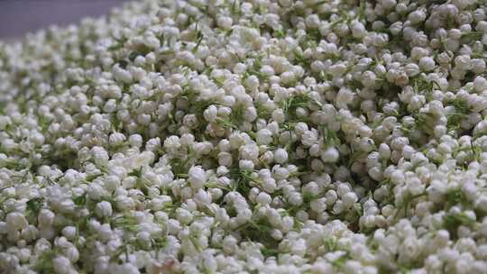 升格慢动作微距特写茉莉花与茉莉花茶制作