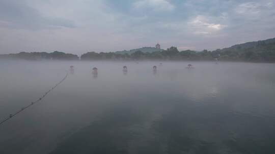 杭州西湖仙境花港观鱼平流雾 水雾