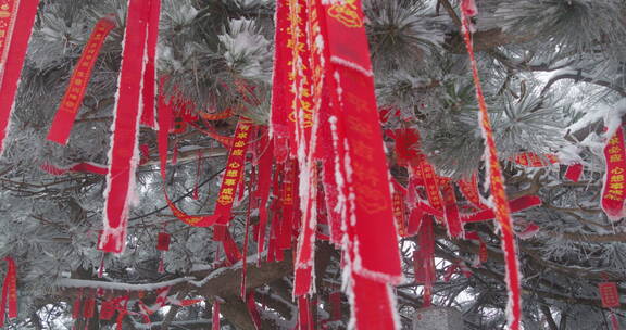 山东泰山风景区雪景下雪