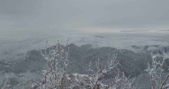 山东泰山风景区雪景下雪