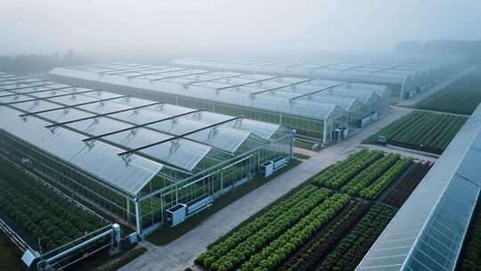 航拍现代农业大棚种植基地