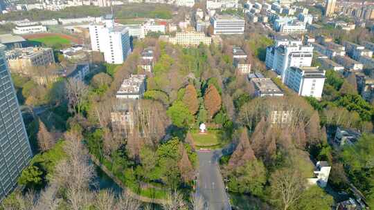 南京市玄武区南京林业大学校园风景航拍视频素材模板下载