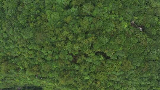 中国重庆武隆天坑地缝天生三桥航拍4K