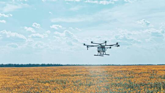航拍无人机在农作物上空飞行