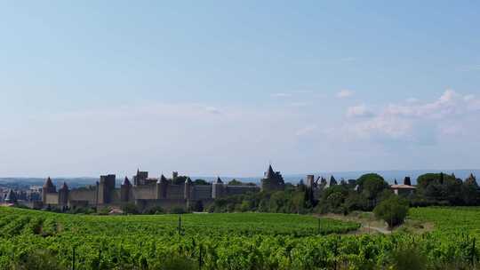 远眺法国中世纪城堡全景