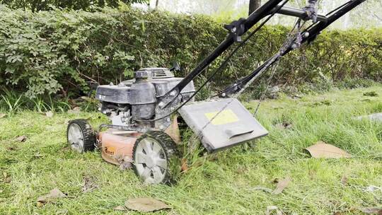 园艺工人用机器修剪草坪