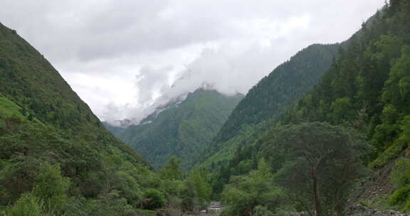 川西结斯沟山谷河流云雾雪山风光实拍