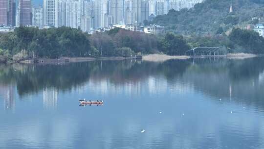 宁德东湖 候鸟 镜面湖 白鹭