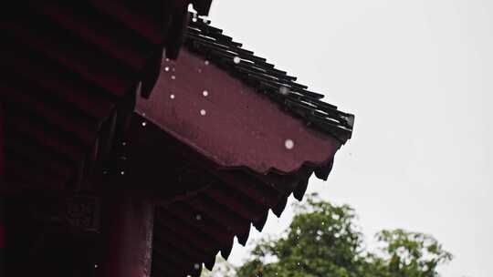 【合集】古代屋檐一角雨滴腊梅红墙
