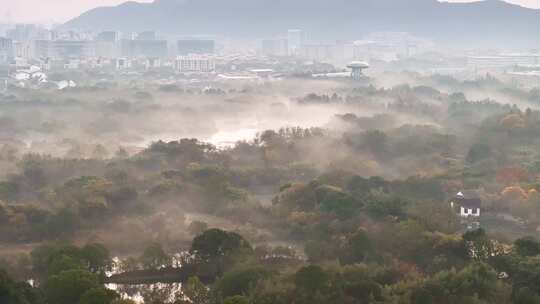 杭州秋天 西溪湿地 手摇船 湿地博物馆