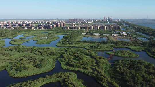 天津市静海区团泊镇生态乡村风光