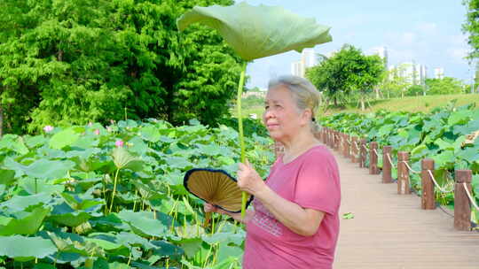 老奶奶夏天池塘边乘凉