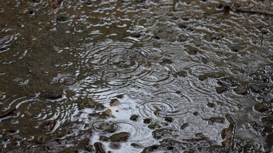 雨水滴落地面