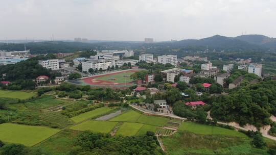 航拍美丽乡村田野农业稻田