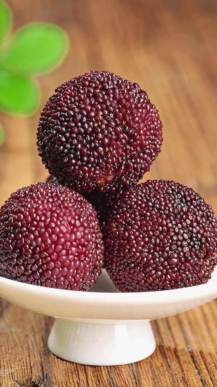 杨梅鲜果东魁杨梅水果新鲜多汁