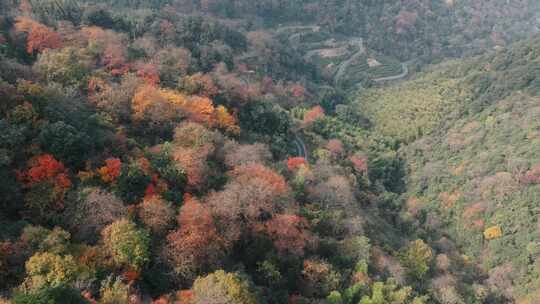 杭州富阳墅溪村林峰山森林秋色航拍