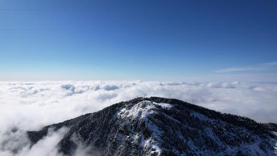 航拍湖北冬天神农架顶峰山顶雪景云海