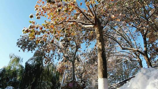 合集冬天雪景4K航拍