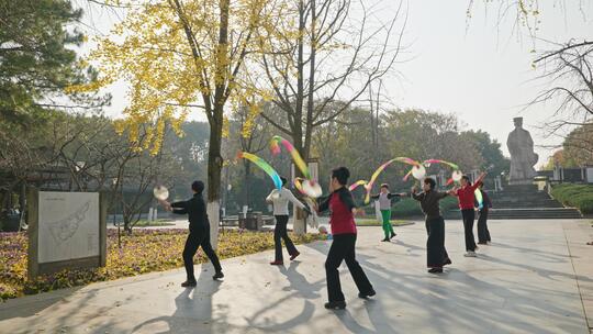 舞动彩旗老年人生活退休娱乐婺城八咏公园