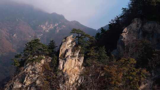 南阳老界岭秋景风光