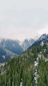 山林间的美景，云雾缭绕的雪山和森林