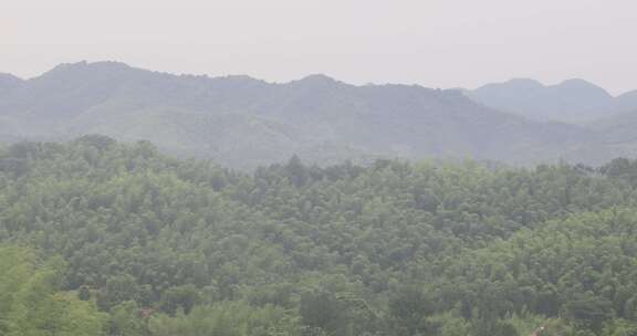 绿色山林森林竹海云海云雾安徽山区远景特写