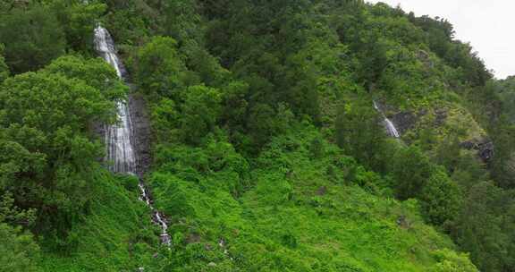 留尼汪岛，瀑布，溪流，森林