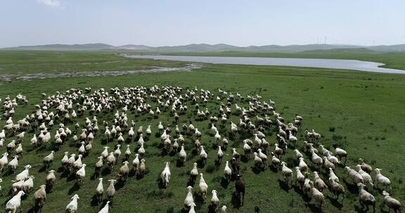 内蒙古赤峰克什克腾旗草原