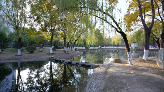 武汉东西湖常青花园中心公园风景