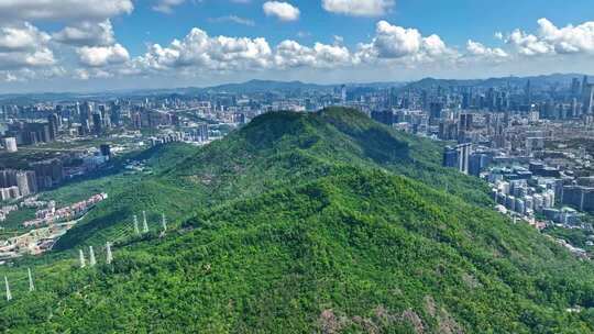 4K航拍深圳大南山公园51