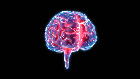 医学 大脑 脑科学 三维 脑ct1 模型