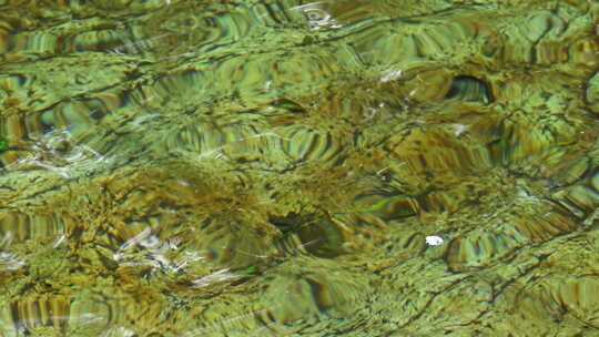 夏天森林里岩石小溪溪流瀑布流水