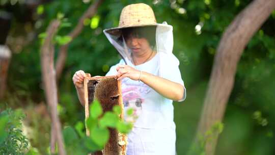 蜜蜂 养蜂人 蜂农