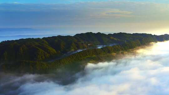 山间云海森林全景