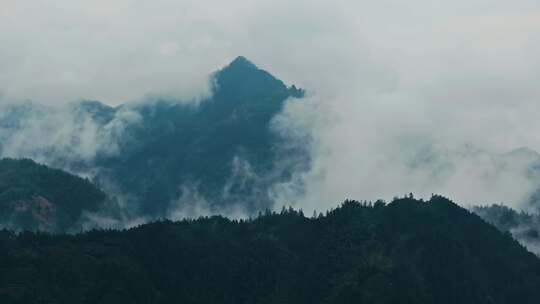 黄山毛峰茶园茶山茶文化航拍