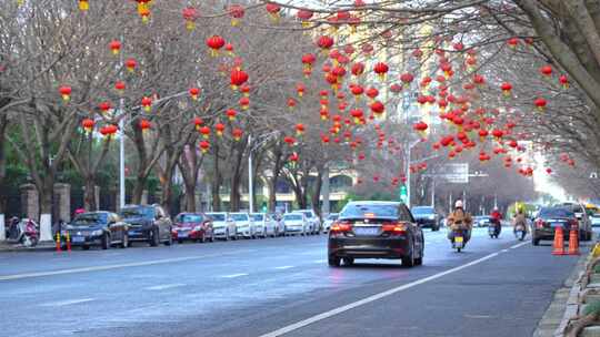 过年灯笼高挂 马路边挂红灯笼 灯笼挂树枝