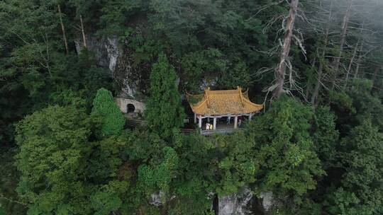 杭州临安西天目山