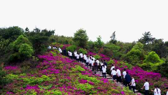 浙江温岭方山，学生春游，杜鹃花，映山红