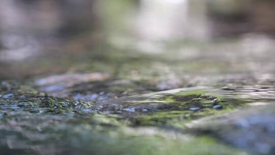 河谷大自然山泉水