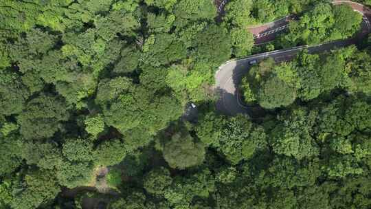 日本富士箱根伊豆国家公园蜿蜒山路鸟瞰图