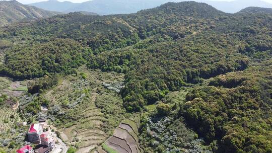 航拍农村风景