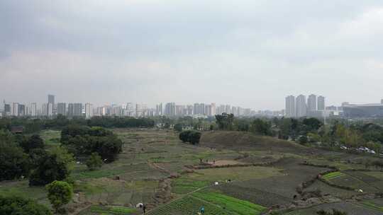 城市公园及楼宇建筑和耕地