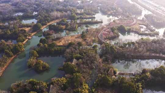 杭州西溪湿地曲水寻梅 春天江南梅花航拍