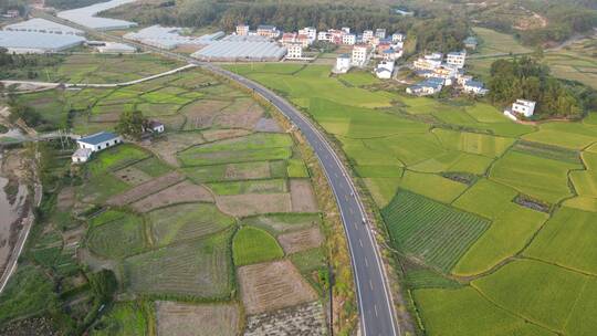 4K乡村稻田公路航拍素材