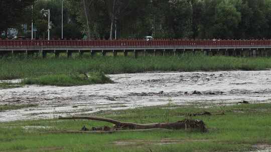 实拍暴雨后洪水 山洪  泥石流