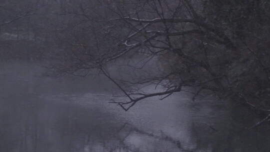 雨雪天里的浴鹄湾