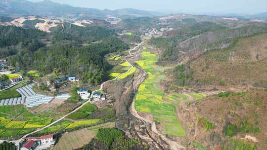 乡村田园油菜花农田种植航拍