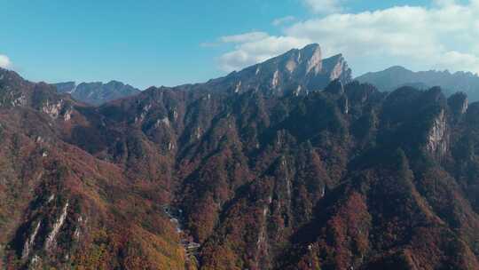 南阳老界岭秋景风光