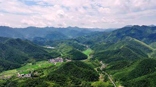 航拍江南浙江山区竹林竹海竹山