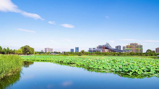 东湖公园延时